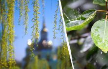 17 травня: церковне свято сьогодні, що поставити на стіл, щоб бути з грошима і врожаєм