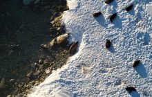 Понад 80 котиків та слон: українські полярники розповіли про дивовижних сусідів (фото)