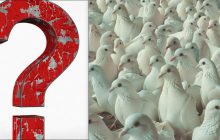 Усі бачать голубів, а треба знайти горду чайку за 10 секунд: тест для перевірки IQ