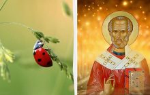 Народный праздник 22 мая: обычаи и запреты Дня святого Николая
