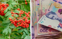 Навіщо сьогодні класти гроші перед дзеркалом: яке свято 22 травня, прикмети, заборони дня