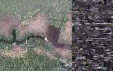 Росіянин використав новий "ЗРК "Лопата": у мережі показали вибухову дуель з дроном (відео)