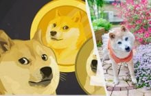 Умерла легендарная собака-мем, ставшая лицом криптовалюты Dogecoin