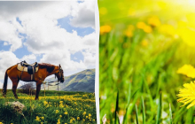 Почему нужно убрать в доме до заката: какой праздник 26 мая, приметы и запреты дня