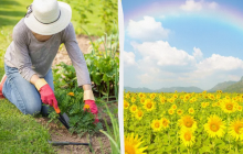 Почему сегодня нельзя вытираться полотенцем: какой праздник 28 мая, приметы и запреты дня