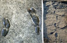 Зміна клімату може знищити найдавніші сліди людини, яким 3,6 мільйона років