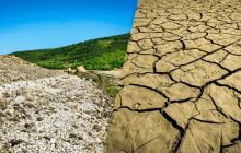 Пересихання Дністровського водосховища: стало відомо, чи є загроза для екології