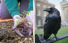 Сегодня нельзя есть 3 продукта: какой праздник 30 мая, приметы и запреты дня