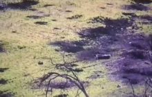 Штурм із застосуванням самохідної ванни: росіяни знову зганьбилися на фронті (відео)