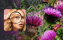 Надо найти василек менее чем за 10 секунд: загадка на логику и внимательность