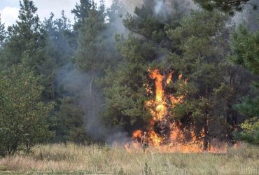 Синоптик предупреждает о самом высоком уровне опасности в Украине: что произошло