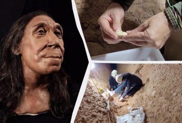 Учені відновили зовнішність неадертальця, який жив 75 тисяч років тому (фото)