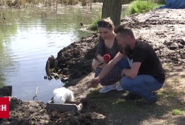 Жорстоко били і тягали тварин: у Рівному розшукали двох відвідувачів "Оствиці"