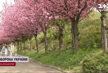 Резкие погодные изменения на Пасху: на Украину надвигаются заморозки