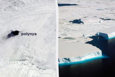 Ученые решили 50-летнюю загадку гигантской полыньи во льдах Антарктиды