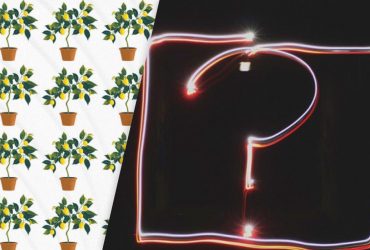 Треба знайти дивне лимонне дерево серед звичайних за 11 секунд: оптична ілюзія з гачками