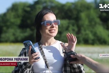 250 гектаров нарциссов на пике цветения: Закарпатье ждет туристов