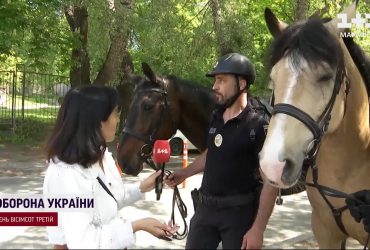 Патрулюють, наздоганяють злодіїв і беруть "хабарі" смаколиками: у Києві запрацював кінний патруль