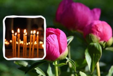 Синоптик розказала, яка погода чекає на українців у Провідну неділю