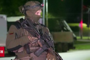 Литва може відправити свої війська до України