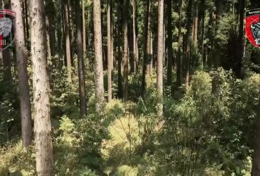 Відео з "нуля": яким був і яким став через окупантів Серебрянський ліс