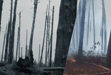 Апокалиптические кадры: в МВД показали, как сегодня выглядит Серебрянский лес