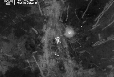 В районе Чернобыля от российской мины погиб краснокнижный конь