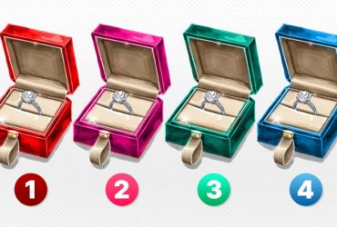 Кто ваша вторая половинка: развлекательный тест по картинкам