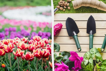 Яке свято 16 травня: важливі події в історії, прикмети та заборони дня