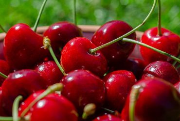 В Україні на три тижні раніше розпочався сезон черешні: які ціни на ягоду