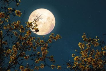 Робота, фінанси та кохання у квітні 2025: поради місячного календаря