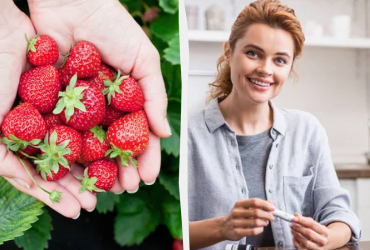Які ягоди знижують рівень цукру в крові: чи можна полуницю діабетикам