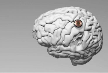 Neuralink Ілона Маска шукає кандидатів для вживлення нейрочипа у мозок