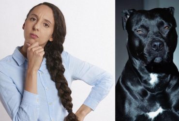 Довгожителі серед собак: названо топ-3 породи