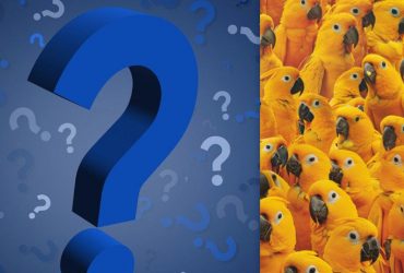 Треба знайти курча серед десятків папуг за 9 секунд: головоломка з пасткою