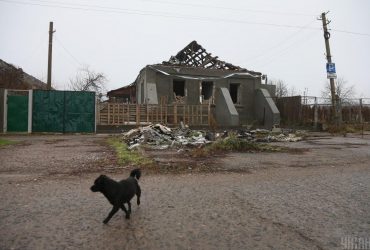 На тимчасово окупованих територіях росіяни вбивають безпритульних тварин, - Спротив