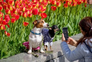 Синоптикиня повідомила про потепління в Україні: коли чекати