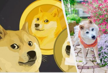 Умерла легендарная собака-мем, ставшая лицом криптовалюты Dogecoin