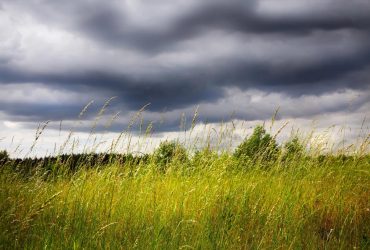 Погода подкинет украинцам неожиданность: синоптик удивил прогнозом