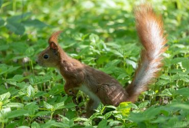 Укргидрометцентр прогнозирует похолодание: где станет легче дышать