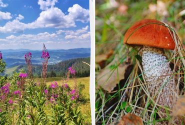 Народне свято 29 травня: що робили цього дня українки