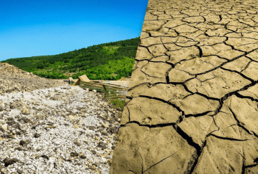 Пересыхание Днестровского водохранилища: стало известно, есть ли угроза экологии