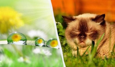 https://images.unian.net/photos/2024_05/thumb_files/400_0_1716382118-6183.jpg?r=574857