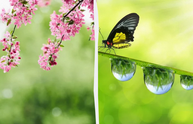 Яке свято 6 травня: важливі події в історії, прикмети та заборони дня