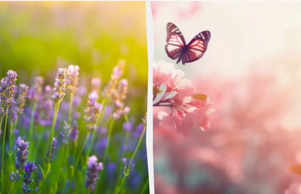 Яке свято 7 травня: важливі події в історії, прикмети та заборони дня