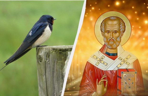 Народне свято 9 травня: що обов'язково потрібно зробити сьогодні