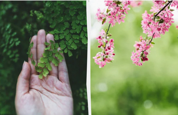 Яке свято 8 травня 2024 року: важливі події в історії, прикмети та заборони дня