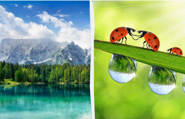 Яке свято 9 травня 2024 року: важливі події в історії, прикмети та заборони дня