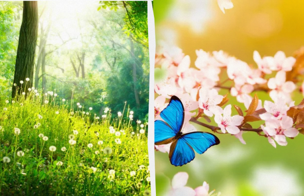 Яке свято 10 травня 2024 року: важливі події в історії, прикмети та заборони дня