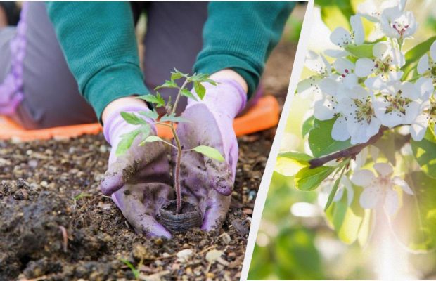 Народне свято 10 травня: чотири суворі заборони цього дня
